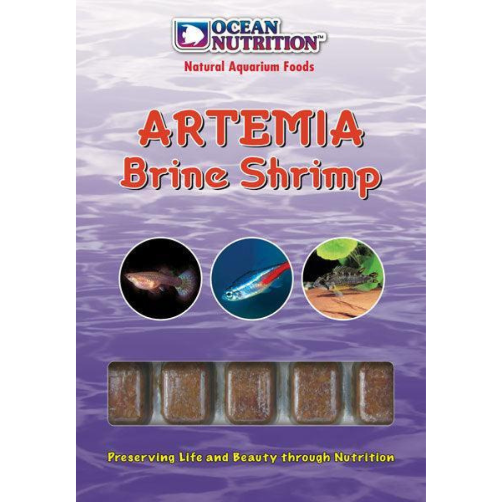 Frozen brine outlet shrimp for betta