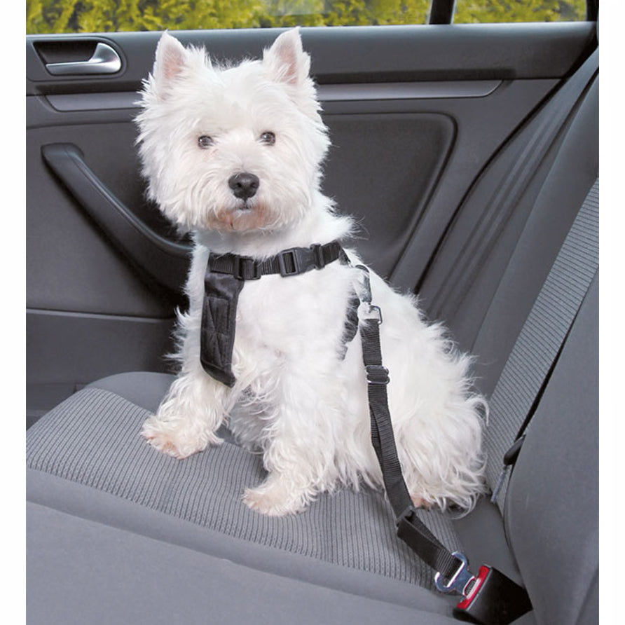 Car Harness Petstop