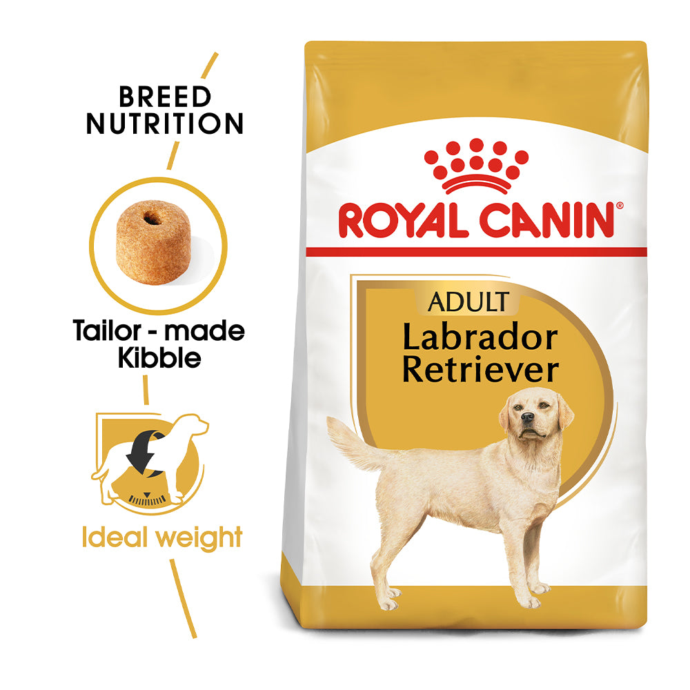 Royal canin labrador retriever hot sale junior