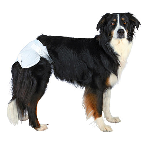 Dog nappies for shop dogs on heat