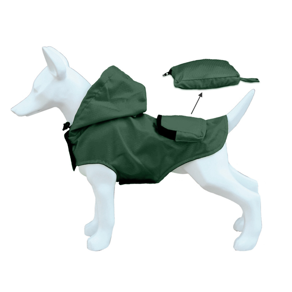 Dachshund best sale advert raincoat