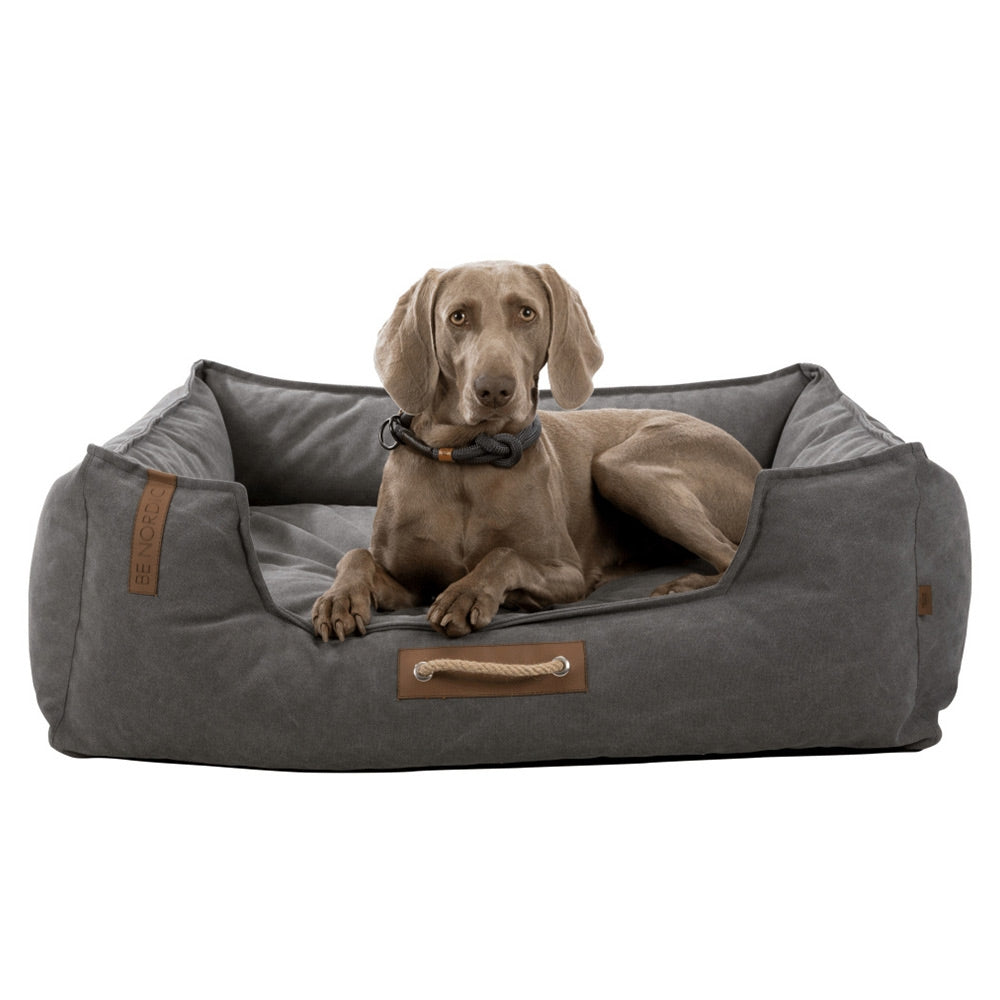 Most durable 2024 dog bed