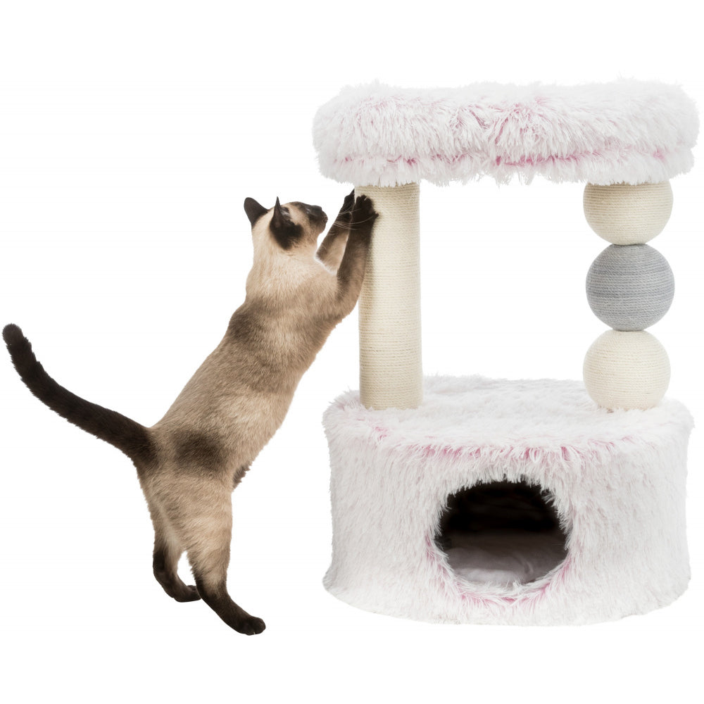 Trixie lucano scratching top post