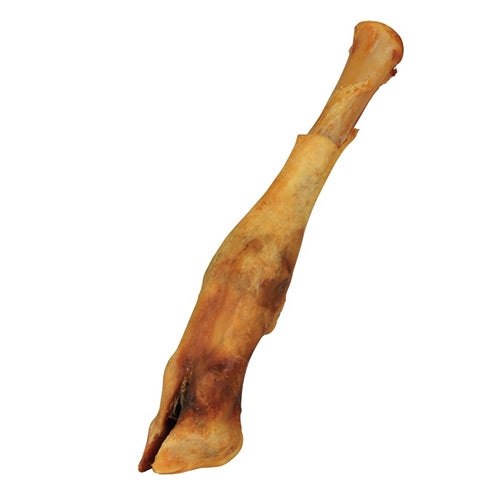 Lamb leg bones for dogs best sale