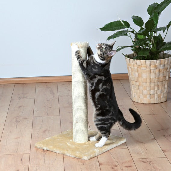 Trixie parla scratching clearance post