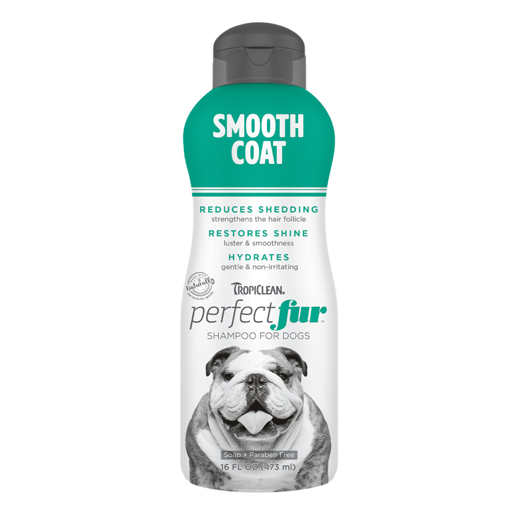 Best dog shampoo for oily fur best sale