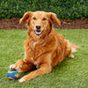 Chuckit! Dog Toy - Ultra Squeaker Ball