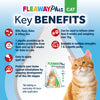 Fleaway Plus Spot-On For Cats and Ferrets