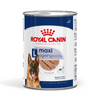 Royal Canin - Maxi Ageing - Tin