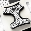 Cocopup London - Monochrome Spots - Harness