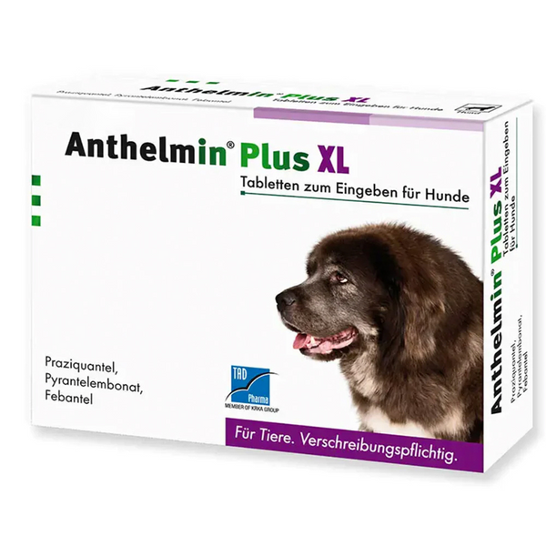 Anthelban wormer 2024 for puppies