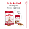 Royal Canin Medium Adult 7+