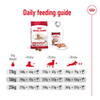 Royal Canin Medium Ageing 10+