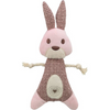 Trixie Plush Dog Toy - Bunny