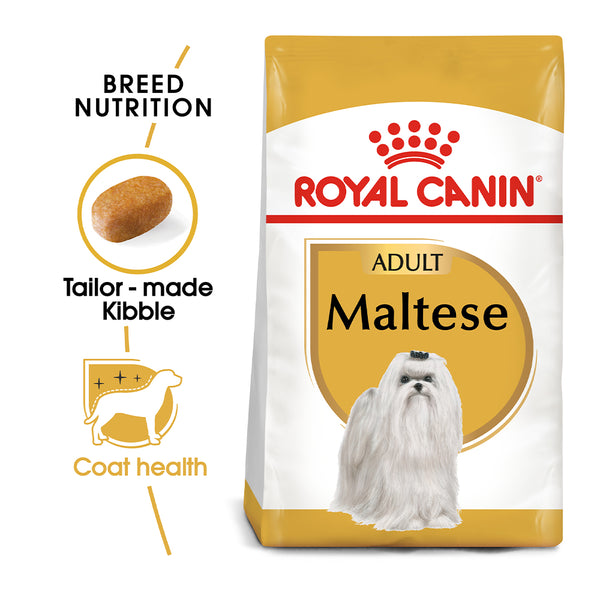 Good dog clearance food for maltese