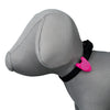 Silicone Flasher for Dogs