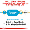 Royal Canin Cavalier King Charles Puppy 1.5kg