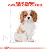 Royal Canin Cavalier King Charles Puppy 1.5kg