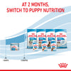 Royal Canin Starter Mousse 195g