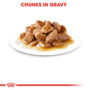 Royal Canin Mini Ageing in Gravy Pouch 85g