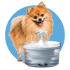 Zeus Drinking Fountain - Fresh & Clear - Waterfall Spout