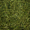 Friendly ReadiGrass - Alfalfa - Red