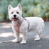 FuzzYard Cotton Step in Dog Harness - Soft Blush