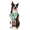 FuzzYard Step in Dog Harness - Dreamtime Koalas