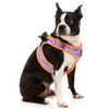 FuzzYard Step in Dog Harness - Aloha Dolphins