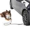 Trixie Drive-on Plate for Dog Leash