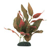 Marina Silk Aquarium Plant Alternanthera Cardinalis 15cm