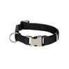 Premium Collar Black 